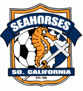 southern california seahorses 2001-pres primary Logo t shirt iron on transfers
